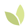 Wellness One Chiropractic