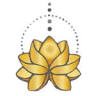 Wellness Solutions Physical Therapy Pilates Massage