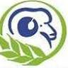 Westech Ag Kyle Livestock