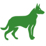 Veterinary Office ZWIERZAK Magdalena Neska