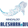 Ningaloo Whaleshark-N-Dive