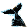The Whale's Tail