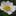 Wheatland Farm & eco-Lodges