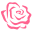 Whimsy Rose