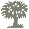 Whippletree Hardwoods