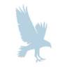WhiteBird Law