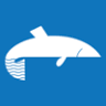 Whitefish Tax & Consulting