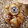 white fox teddy bears
