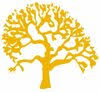 White Oak Village Wellness Center