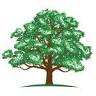White Oak Insurance Services - Formerly Budget Insurance Agency