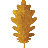 White Oak Painting