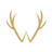 Whitetail Rentals
