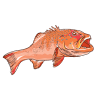 Whitsunday Fishing Charters