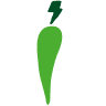 WholeFiber