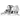 WHYTE FARMS