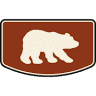 Wild Bear Safari