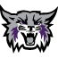 Wildcat Tech