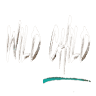 Wild Child eatery