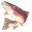 Wilderness Place Lodge, All Inclusive Alaska Fishing Lodge and Adventures