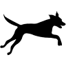 Wilde Wolf