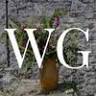 Wild Ginger Flower Company