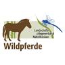 Przewalski wild horse enclosure Tennenlohe