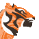Wild Sumatra