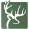 Wildtree