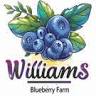 U Pick Blueberry Farm