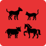 Williams River Veterinary Clinic