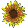 Williamston Farm & Artisan Market