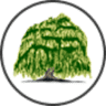 Willow Lodge Home for Special Care