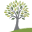 Willow Tree Dental Group: Crichton Rolf DDS