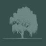 Willow Tree Workshop
