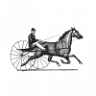 Wilson's Tack & Vet Supplies Ltd.