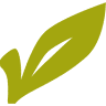 City of Winchester Arborist