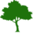 Windlesham Village Vets