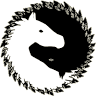 Windspirit Medicine