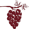 Wine House Urla