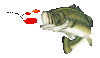 Wing's Live Bait & Tackle Ltd