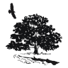 Black Oak Hollow