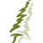 Wintergreen Landscape Nursery