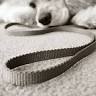 Pretty Paws Pet Spa, LLC