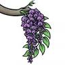 Wisteria Event Site and Campground