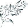 Wolfville Naturopathic Clinic Inc