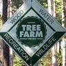 Wonderland Tree Farm