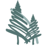 Woodgrove Pines Wellness Clinic