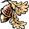 Woodhaven woodworks