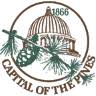 Woodland Twp Municipal Clerk