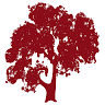 Woodside Academy